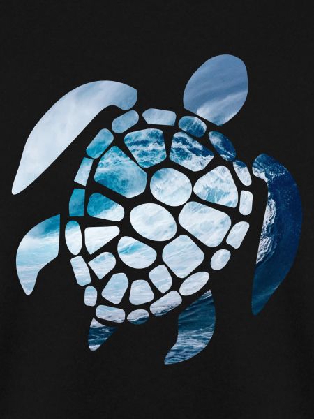 sea turtle
