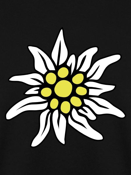 EDELWEISS BLÜTE