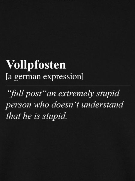 Vollpfosten Funny German Idiom