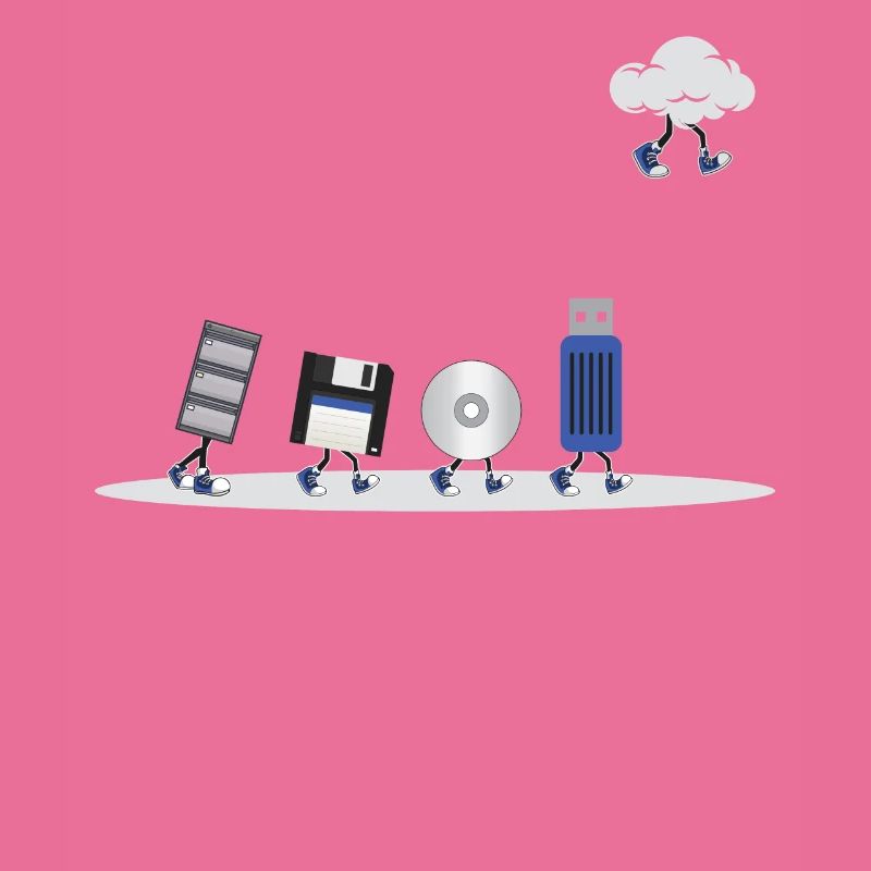 IT Geek, Accessoires PC Périphériques de stockage Evolution