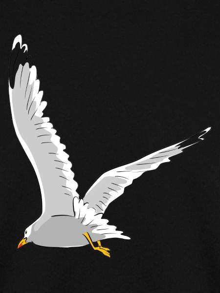 Möwe im Flug