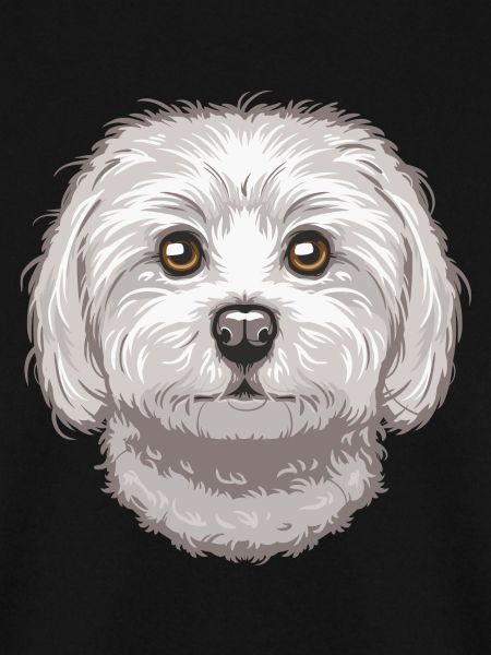 Maltese