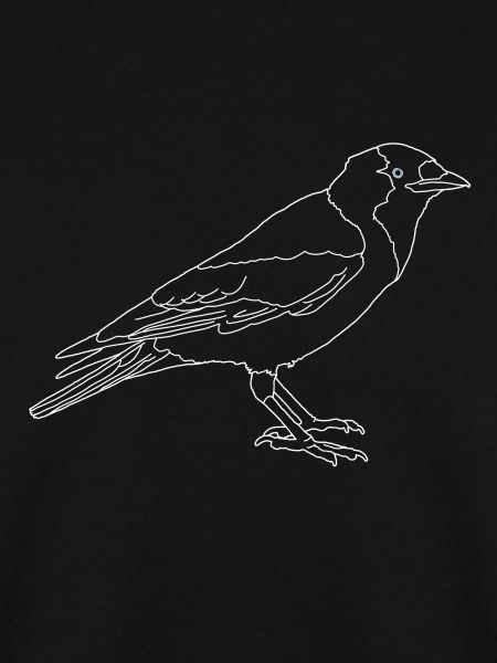 Jackdaw lineart
