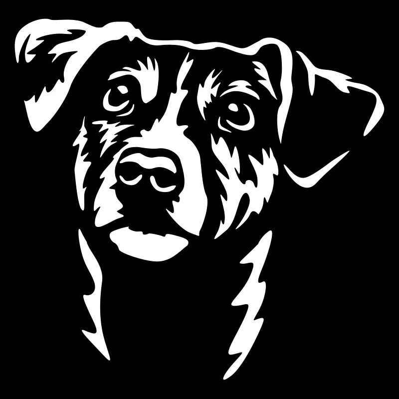 Tête de Jack Russel Terrier "Black Edition"