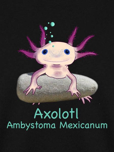Kultiger Axolotl chillt, handgezeichnet