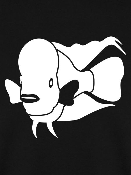 Aquaristik Aquarium