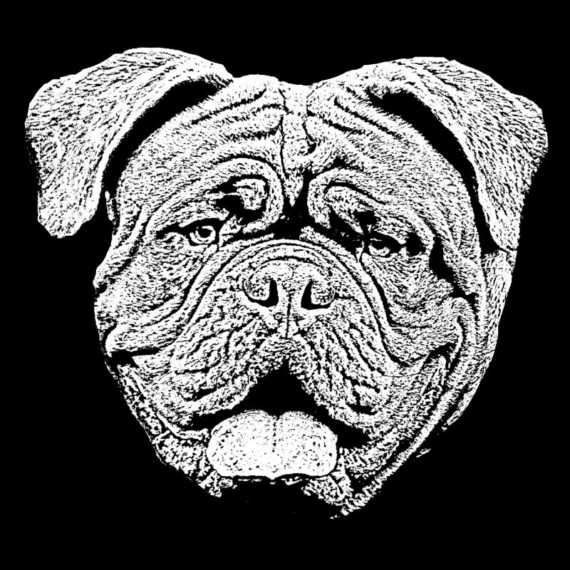 Bulldogue de dogue bordeaux dodard tête de chien