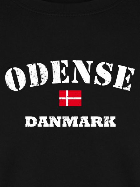 Odense Danmark
