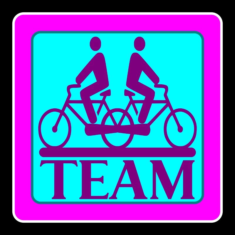 TEAM PROBLEMS - BIKE
