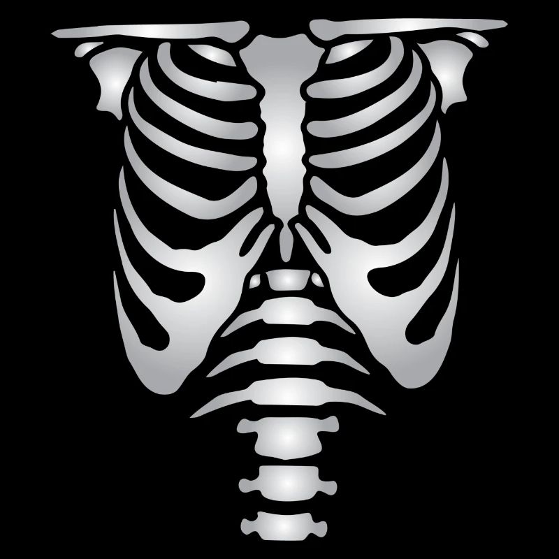 Human skeleton bones torso