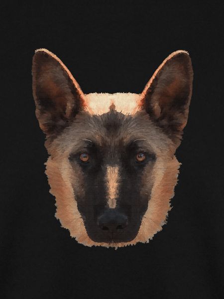 coole geschenkidee, Belgischer Schäferhund