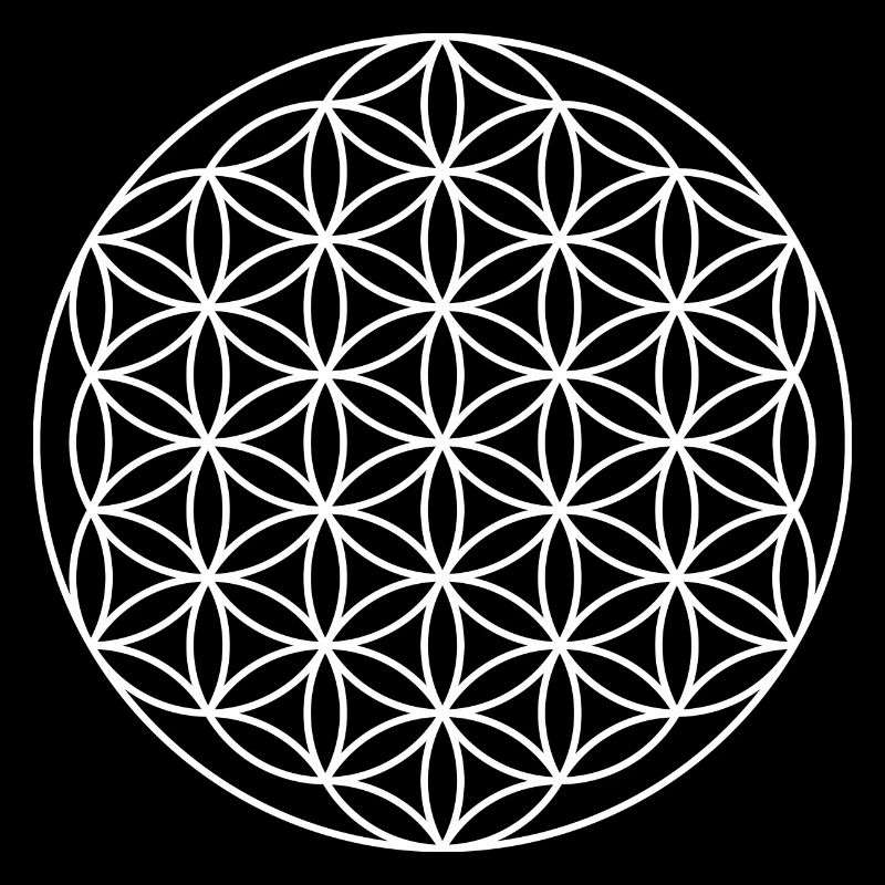 Blume des Lebens Symbol