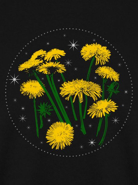 Dandelion Spring Starry Sky