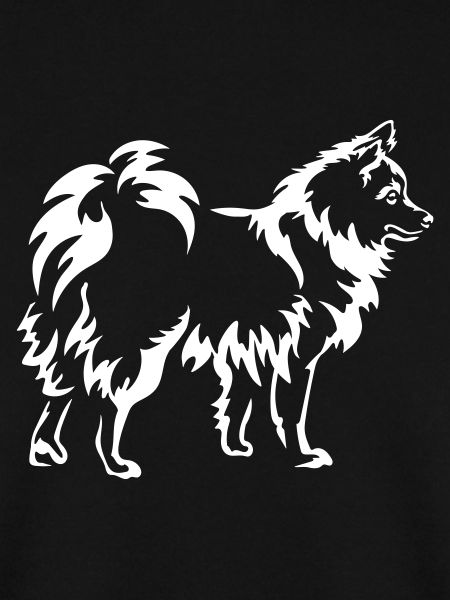 Spitz "Black Edition"