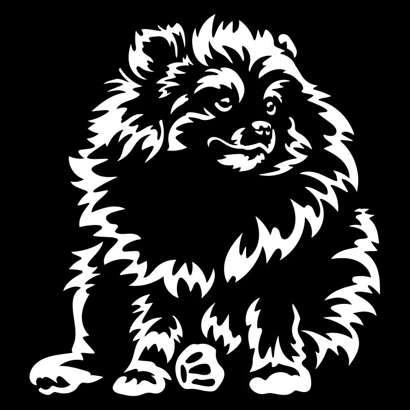 Zwergspitz "Black Edition"