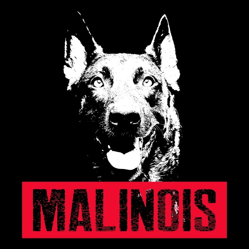 Malinois Hunde Motiv