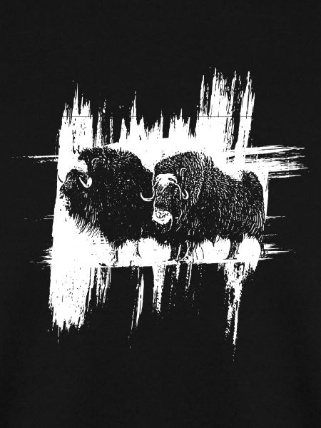 Les Bisons