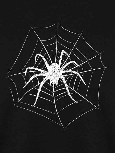 Spinne Halloween