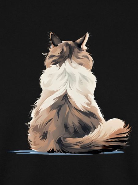 Ragdoll