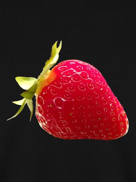ERDBEERE als FRUCHTKUNST