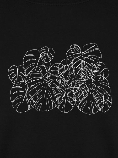 Monstera Tropische Blätter