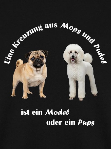 Kreuzung Pudel und Mops