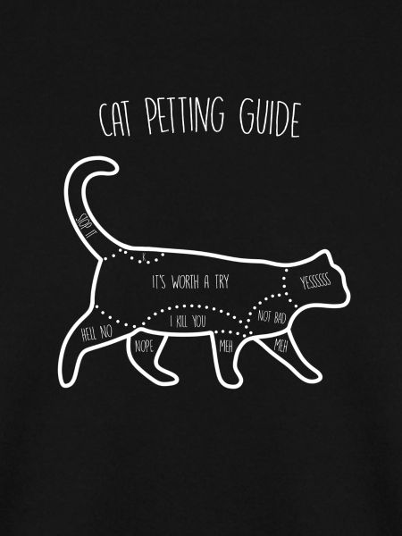 Cat Petting Guide