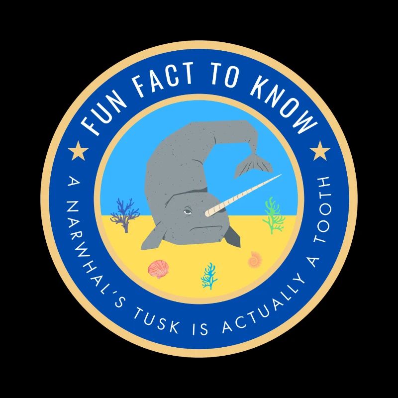 A Narwhal's tusk is actually a tooth
