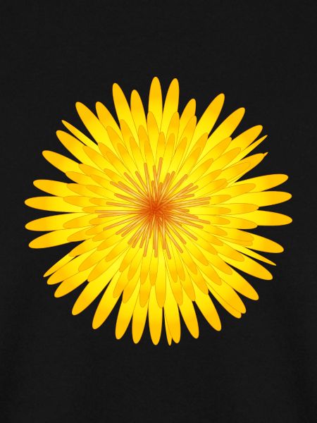 Gelbe Löwenzahn Blüte Sommermotiv