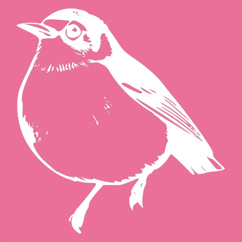 Bird white