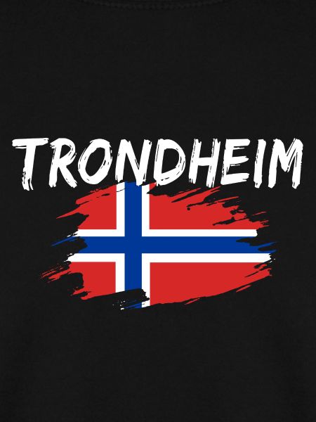 Trondheim Norwegen