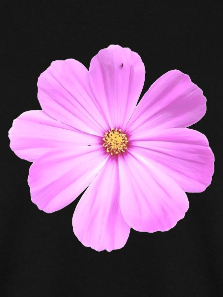 fleur