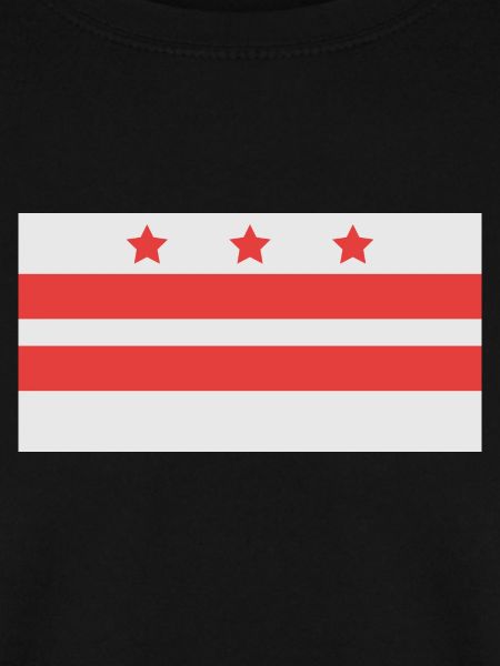 Washington flag