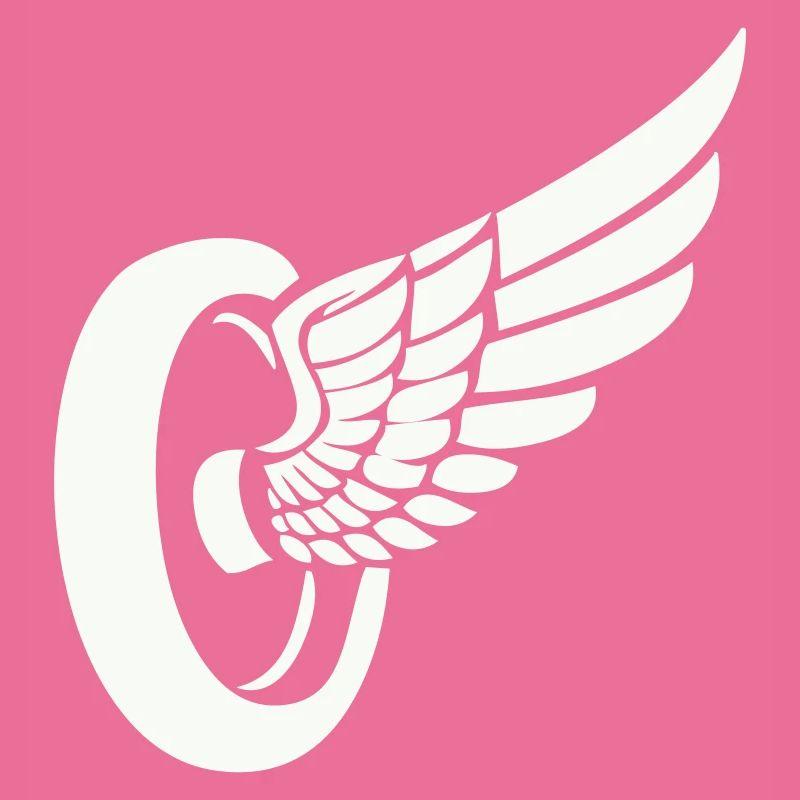 Ailerons de pneus