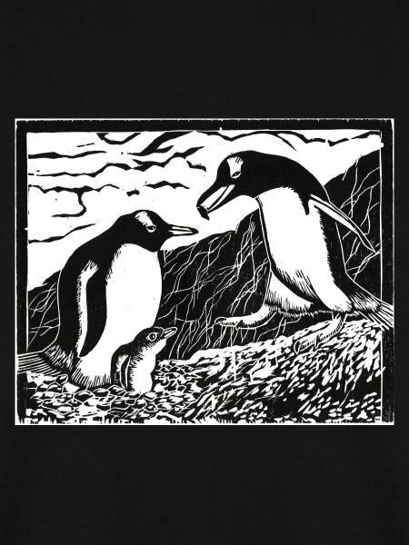 alpha beast penguins