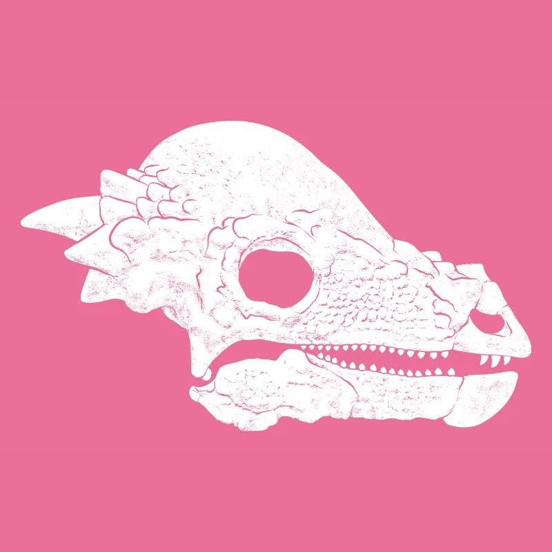 Pachycephalosaurus Fossil Schädel