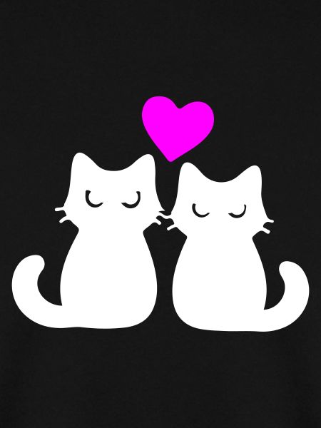 Katzen Verliebt Paar