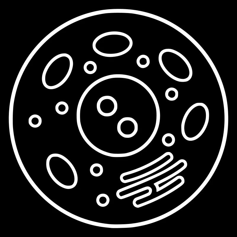 Zelle Biologie Organellen
