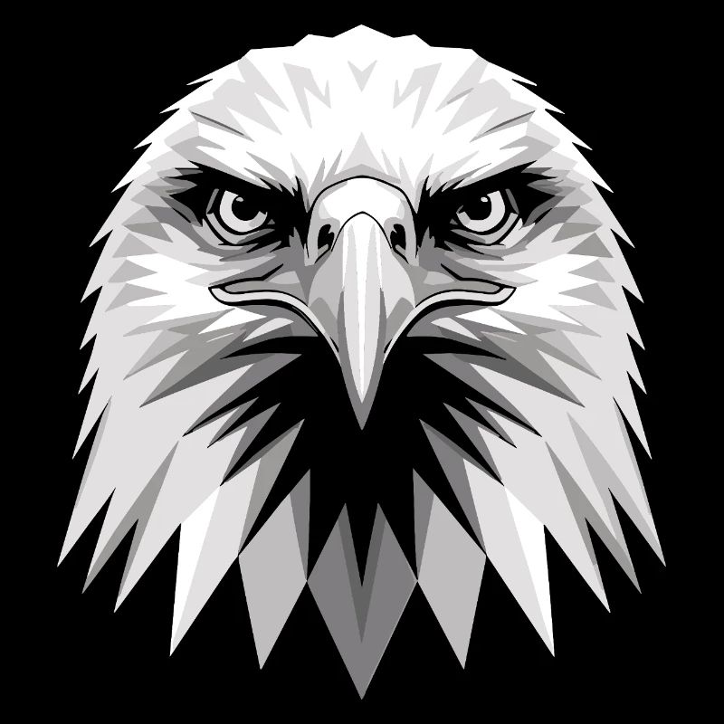 Eagle Bald Eagle Golden Eagle White-tailed Eagle