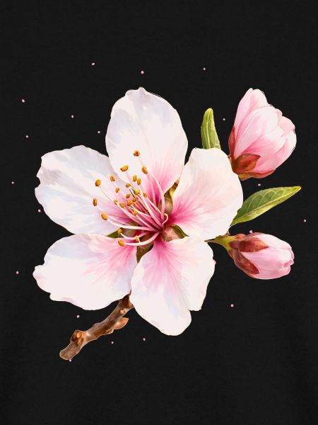 Mandelblüte Rosa Frühlingsblume