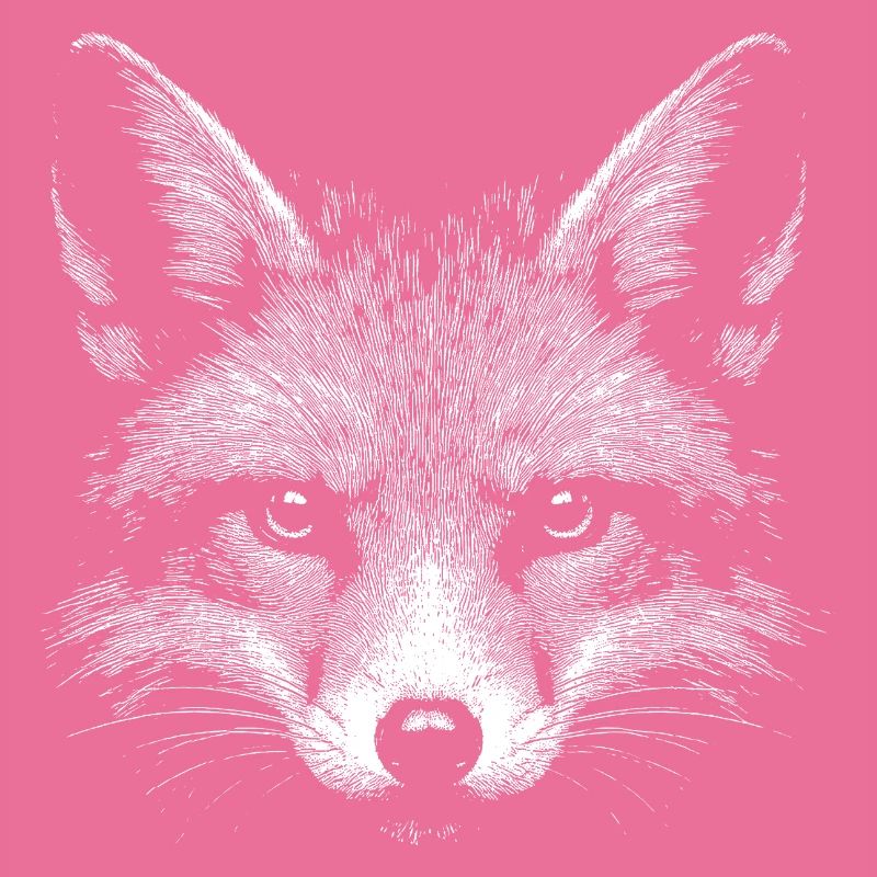 Red fox