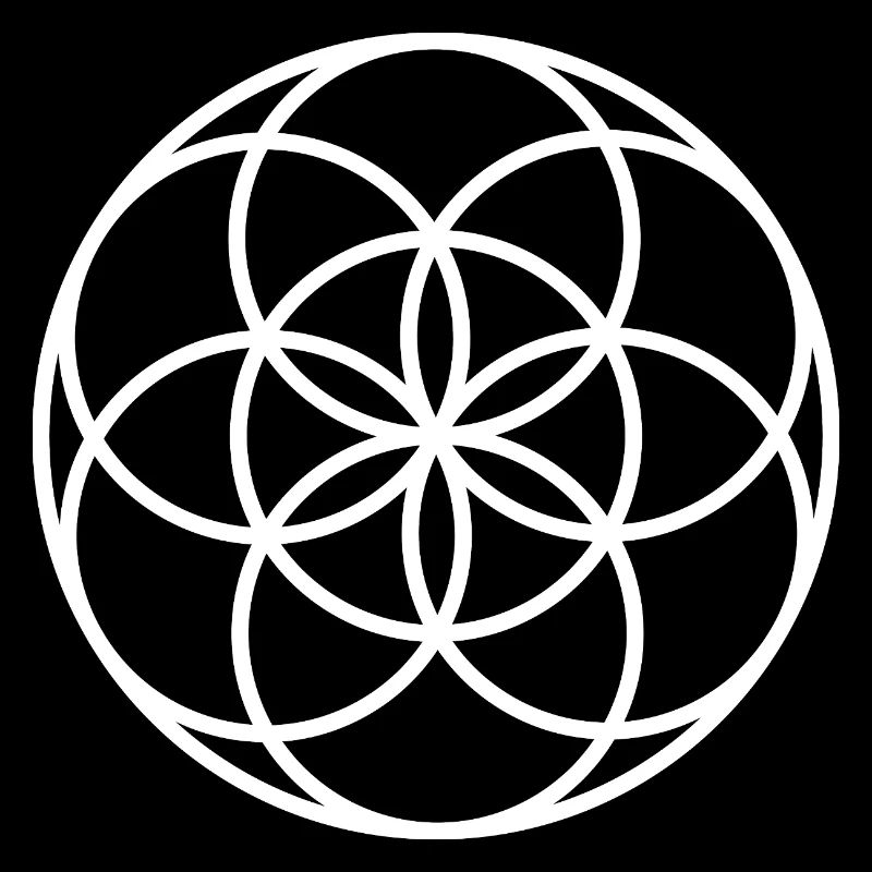 Samen des Lebens – Heilige Geometrie