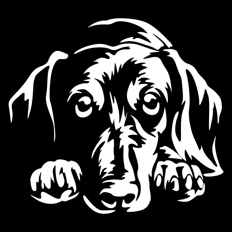 Dachshund "Black Edition"