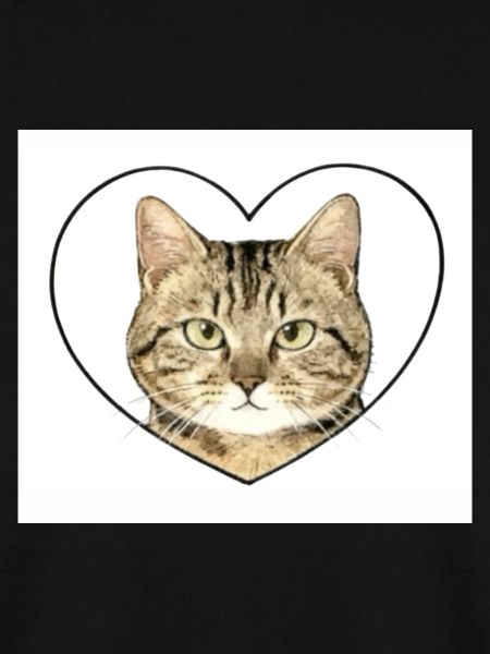 Katzenherz: Katzenporträt
