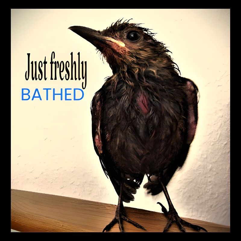 Just freshly bathed