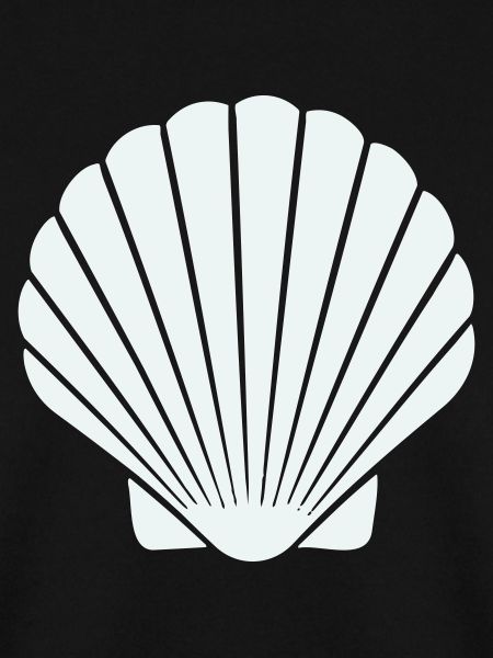 Geometric Shell Art