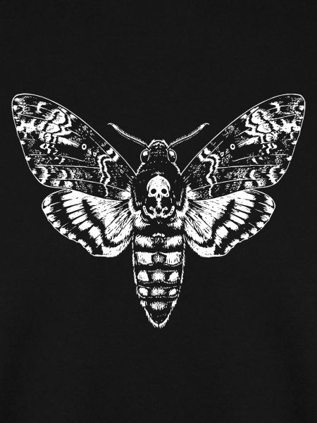 Skull Moth Silhouette Noir