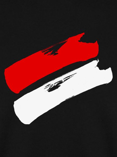 Hessen Flagge / Pinselstriche
