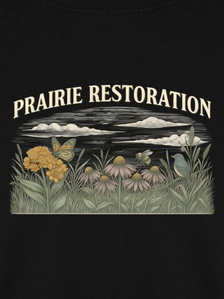 Prairie Restoration Native Prairie