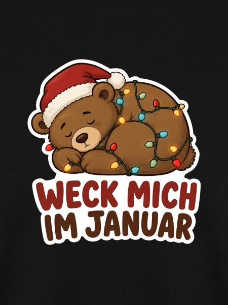 Schlafender Bär mit Lichterkette Januar